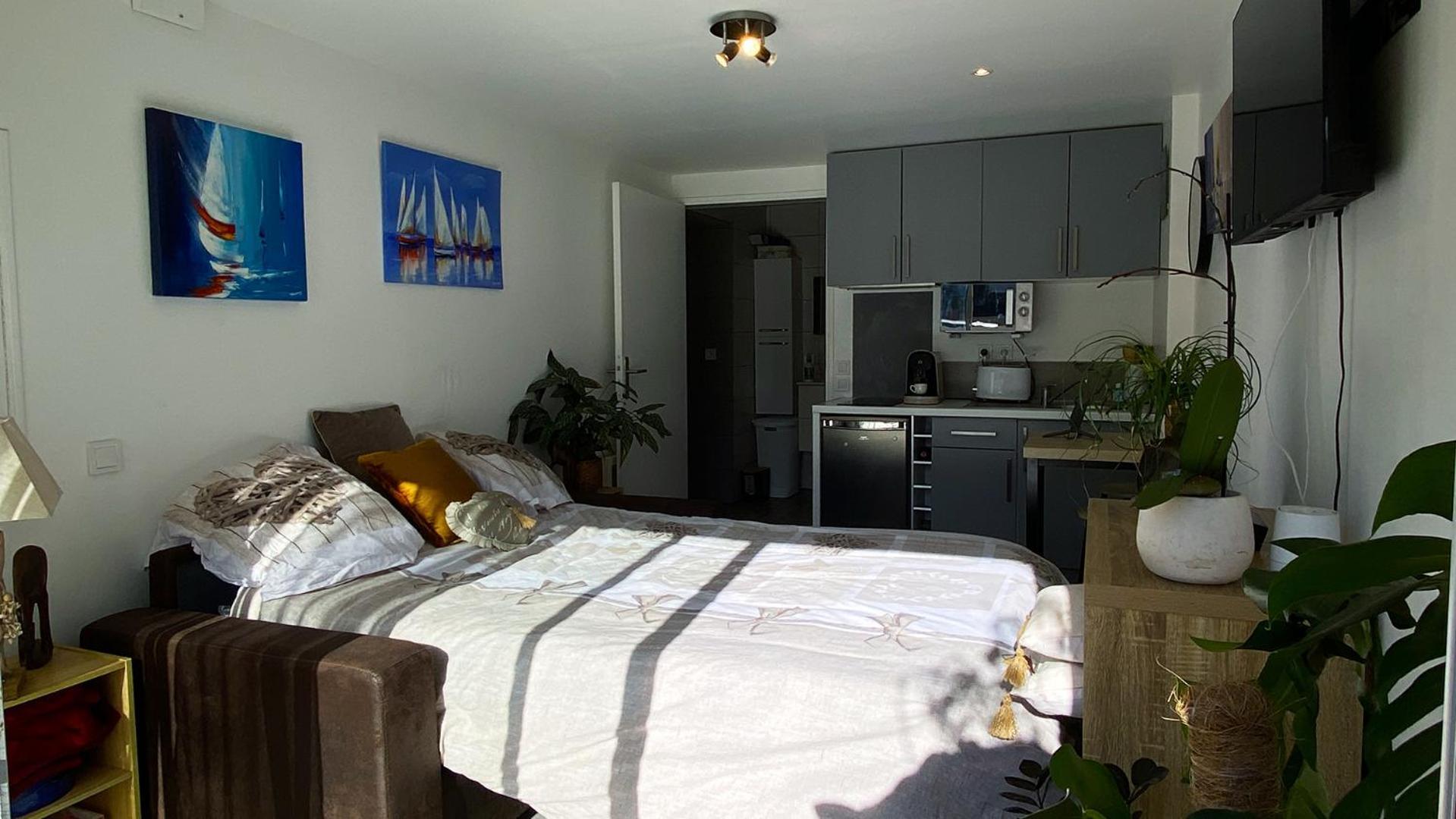 Studio Clair, Climatise Avec Jardin Et Parking Perpignan Eksteriør bilde